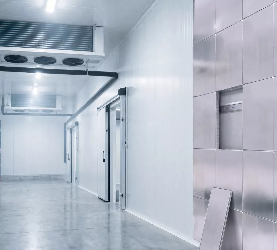 Cold chain - Salle de stockage frigorifiée avec murs blancs et étagères.